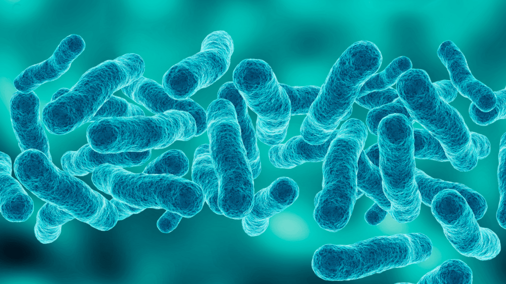 Légionellose et ballons d'eau chaude : le point de contrôle souvent oublié des propriétaires