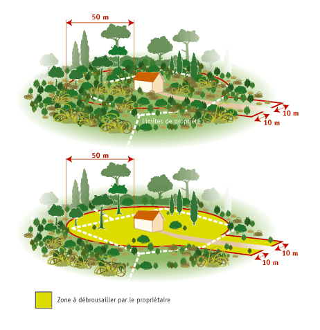 Prévention des feux de forêt en location saisonnière : obligations des propriétaires de meublé de tourisme face au risque de feu de forêt
